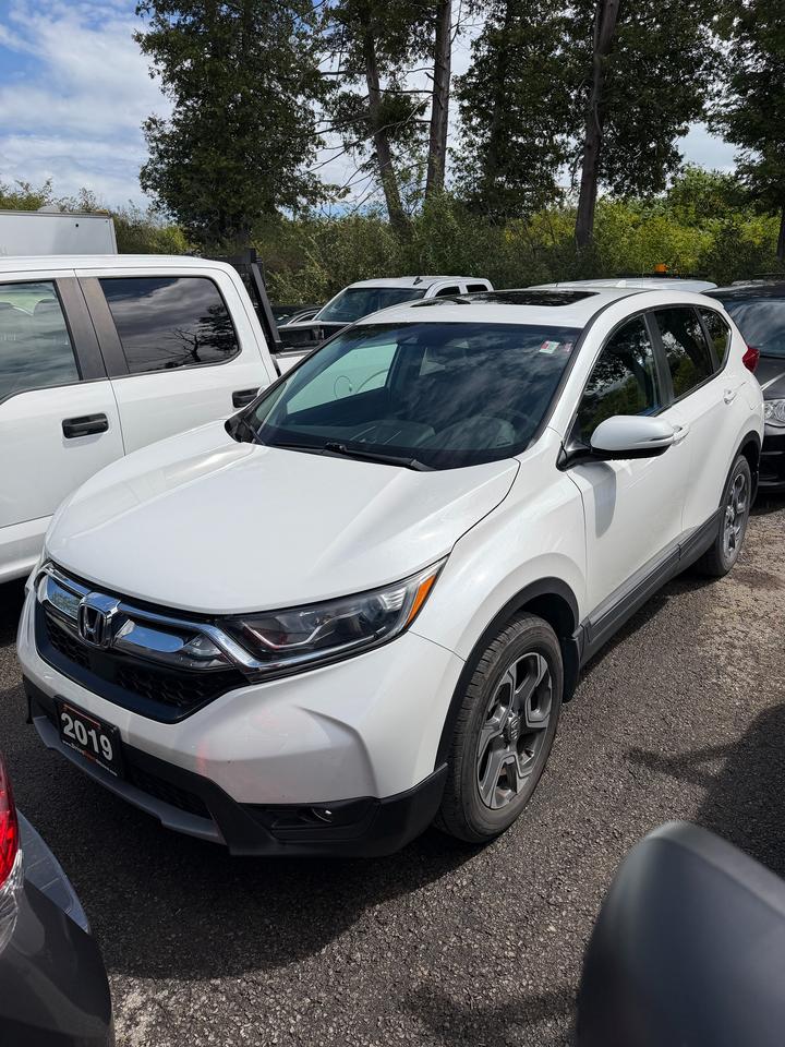 Used 2019 Honda CR-V EX-L for sale in Ottawa, ON