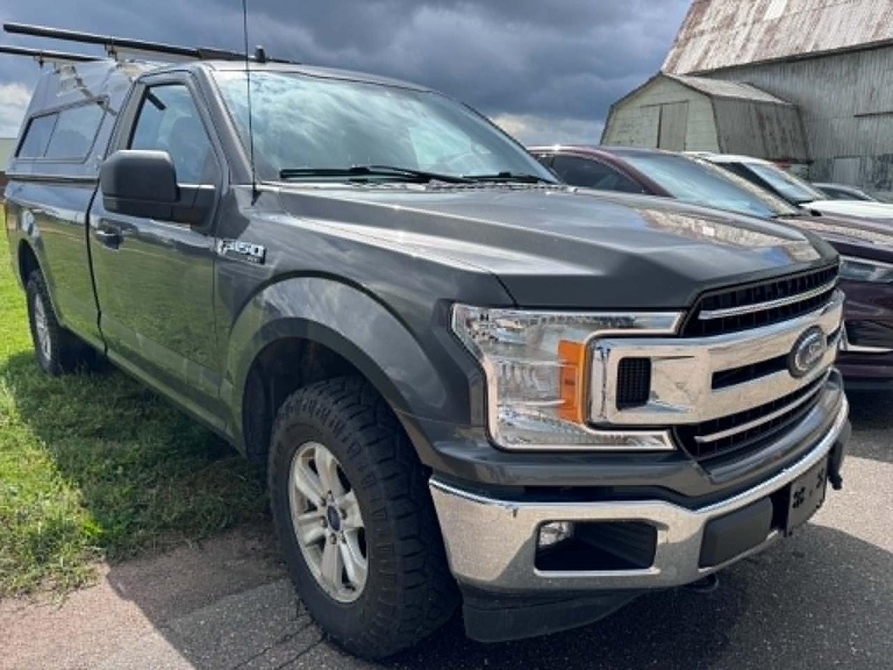 2019 Ford F-150 XLT Photo
