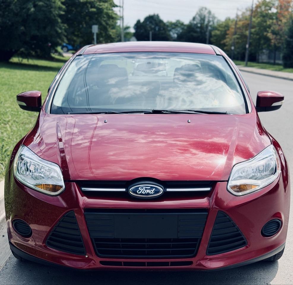 2014 Ford Focus SE Photo