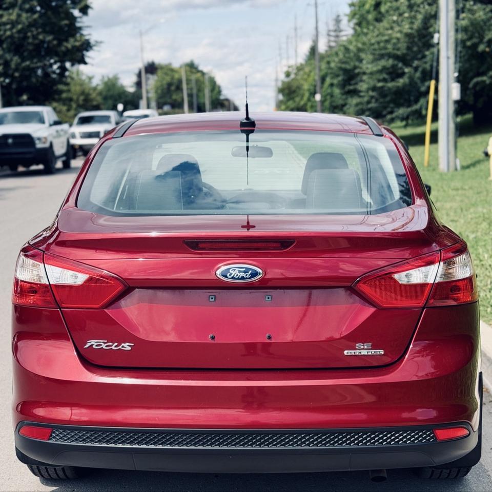 2014 Ford Focus SE Photo