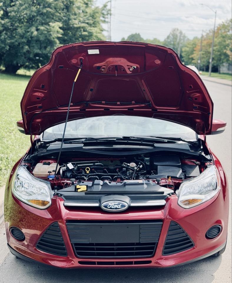 2014 Ford Focus SE Photo