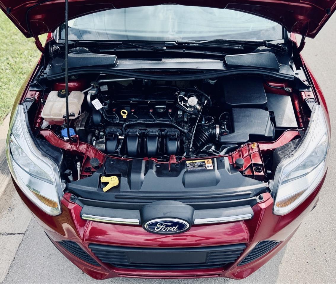2014 Ford Focus SE Photo