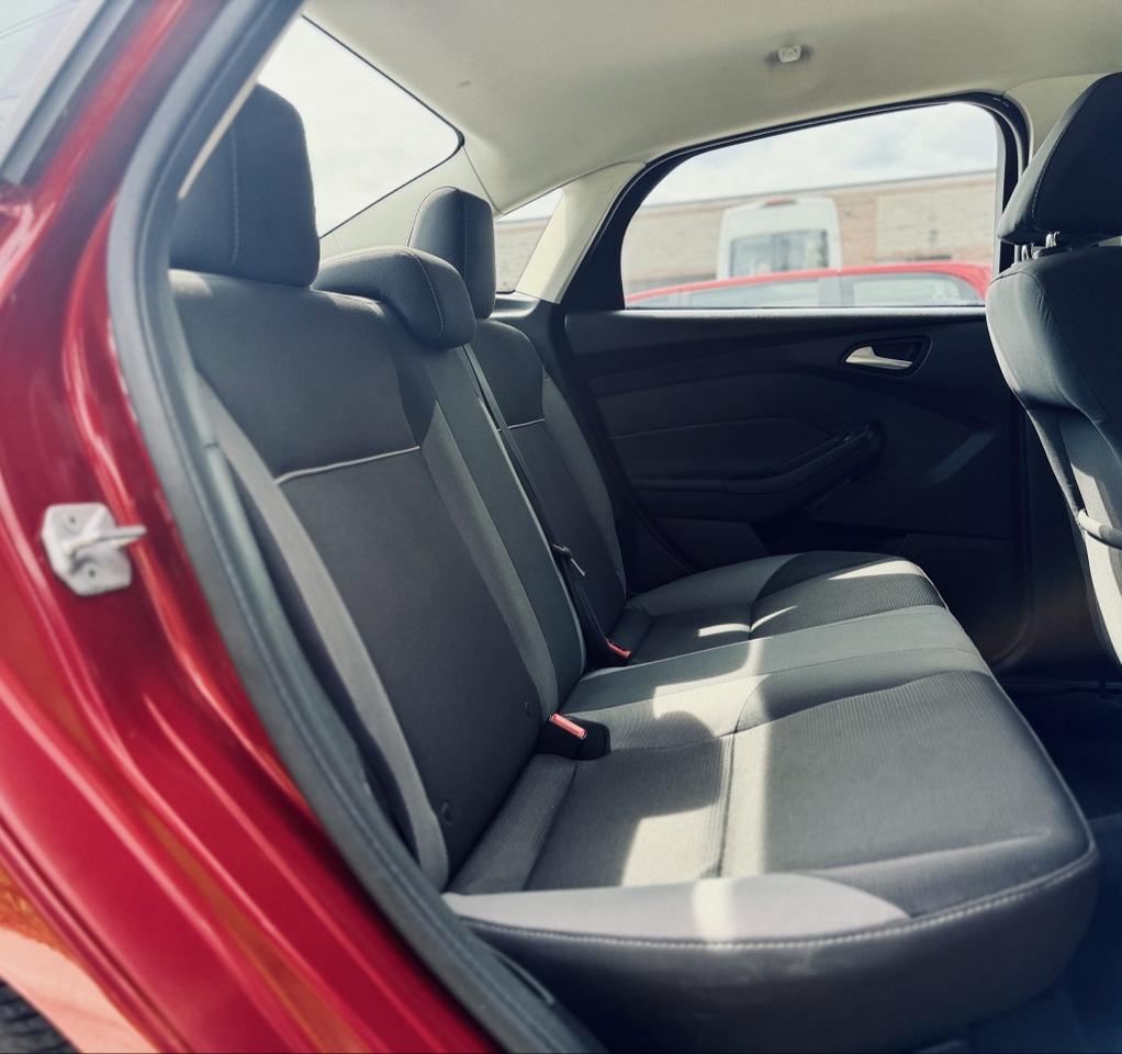 2014 Ford Focus SE Photo