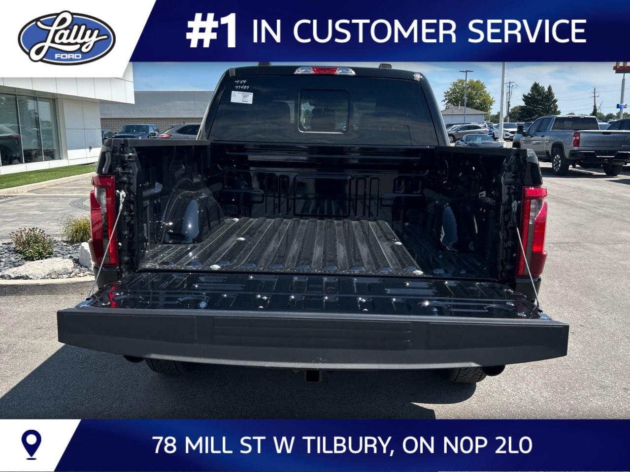 2026 Ford F-150 XLT 4WD SuperCrew 5.5' Box Photo
