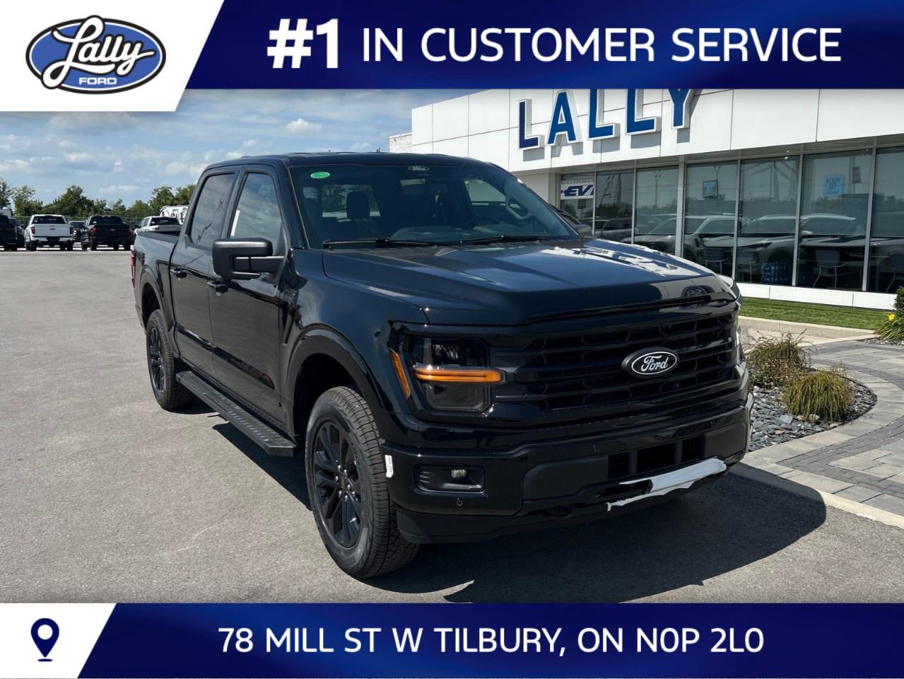 2026 Ford F-150 XLT 4WD SuperCrew 5.5' Box Photo0