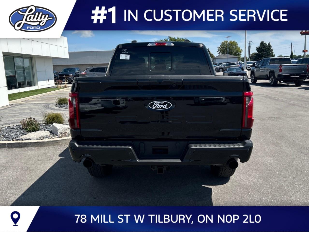 2026 Ford F-150 XLT 4WD SuperCrew 5.5' Box Photo