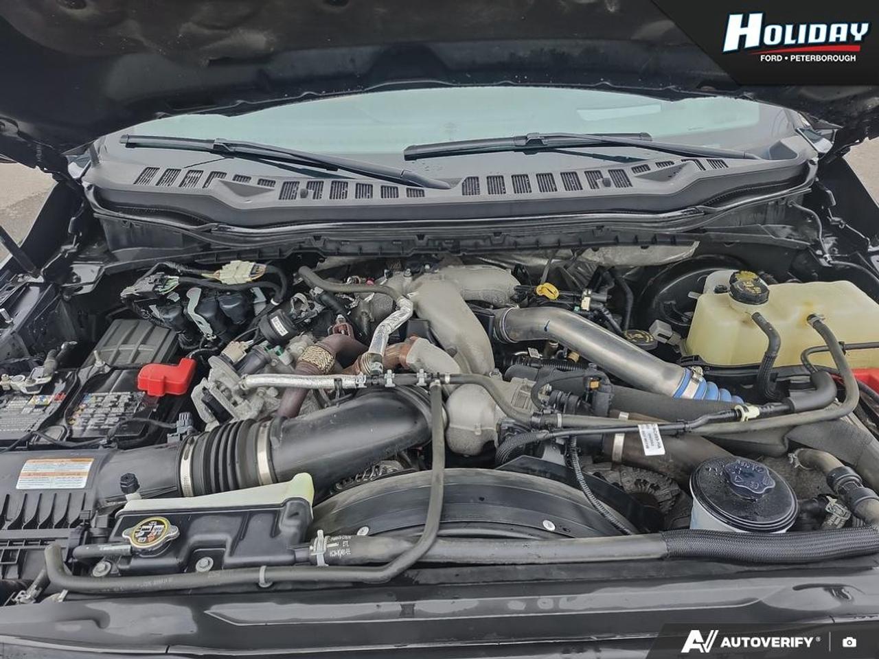 2023 Ford F-250 Super Duty SRW Platinum Photo