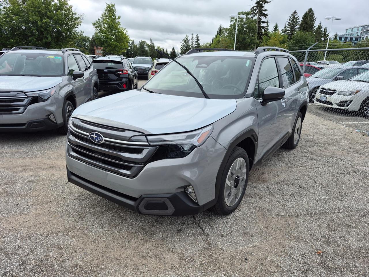 2026 Subaru Forester Limited Photo