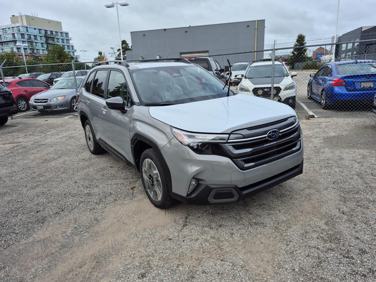 2026 Subaru Forester Limited Photo