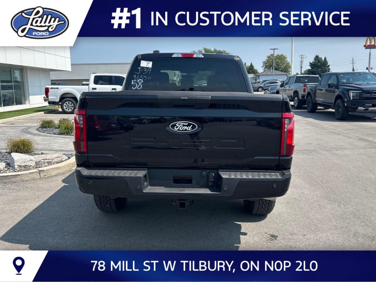 2026 Ford F-150 XLT 4WD SuperCrew 5.5' Box Photo