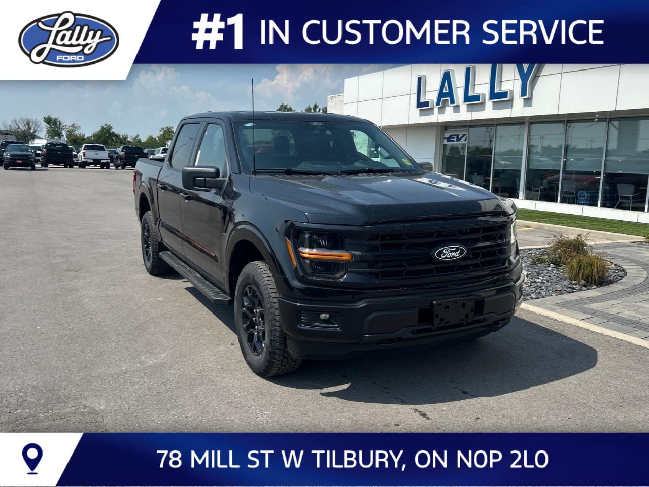 2026 Ford F-150 XLT 4WD SuperCrew 5.5' Box Photo