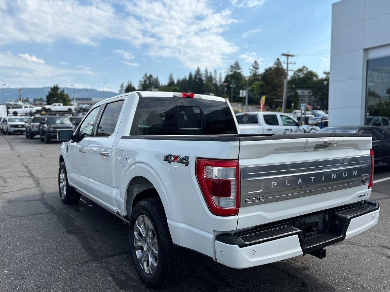 2023 Ford F-150 Platinum Photo2