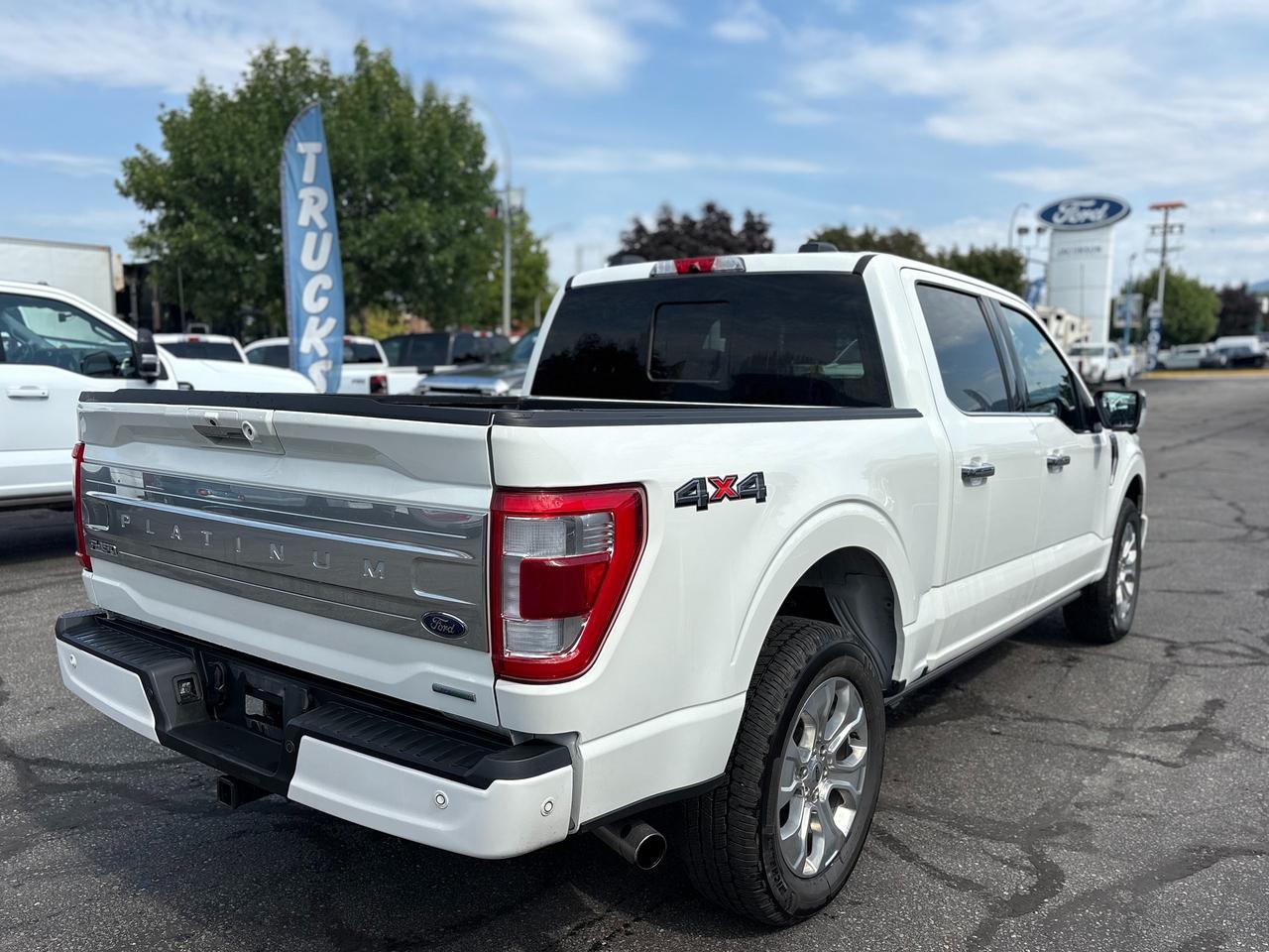 2023 Ford F-150 Platinum Photo4