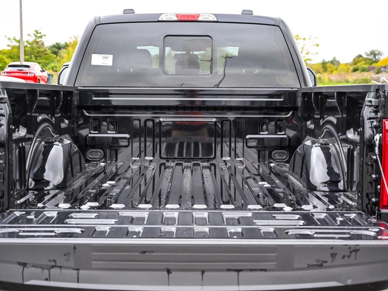 2026 Ford F-150 XLT Photo