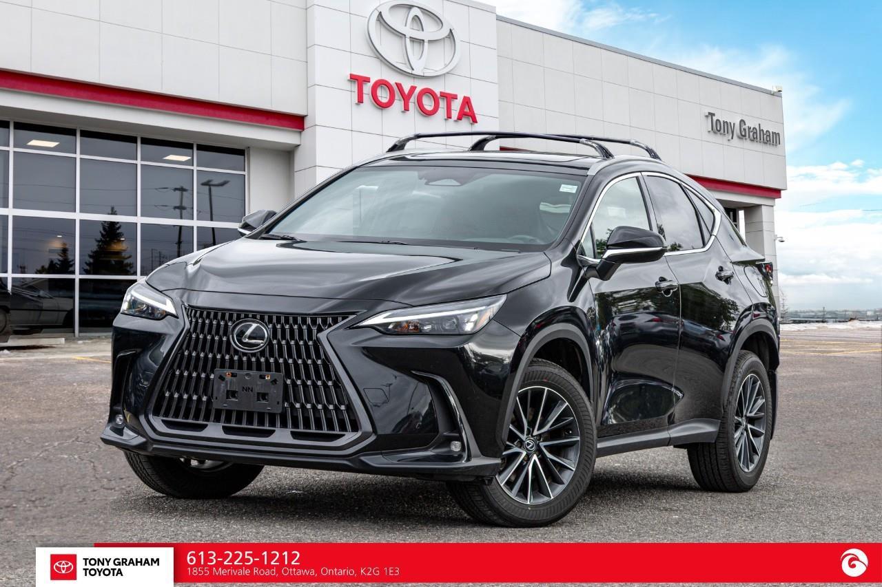 2025 Lexus NX 350h  Photo