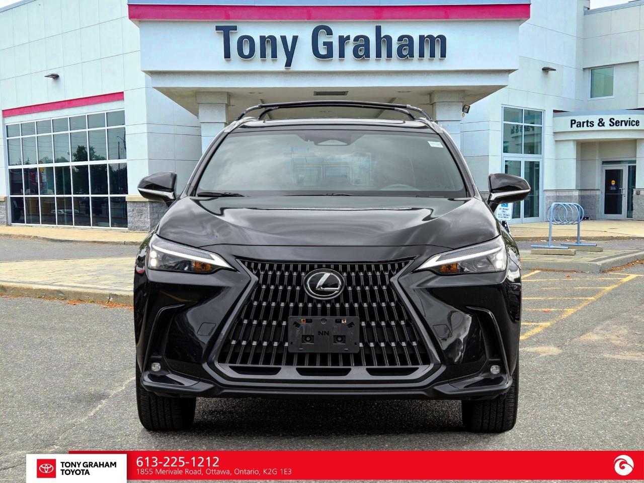 2025 Lexus NX 350h  Photo