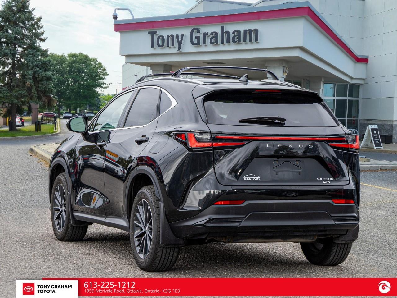2025 Lexus NX 350h  Photo