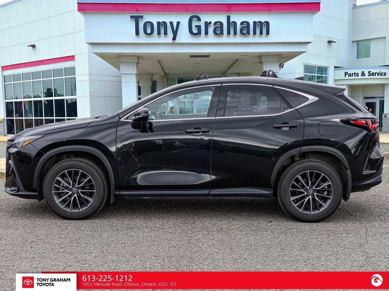2025 Lexus NX 350h  Photo