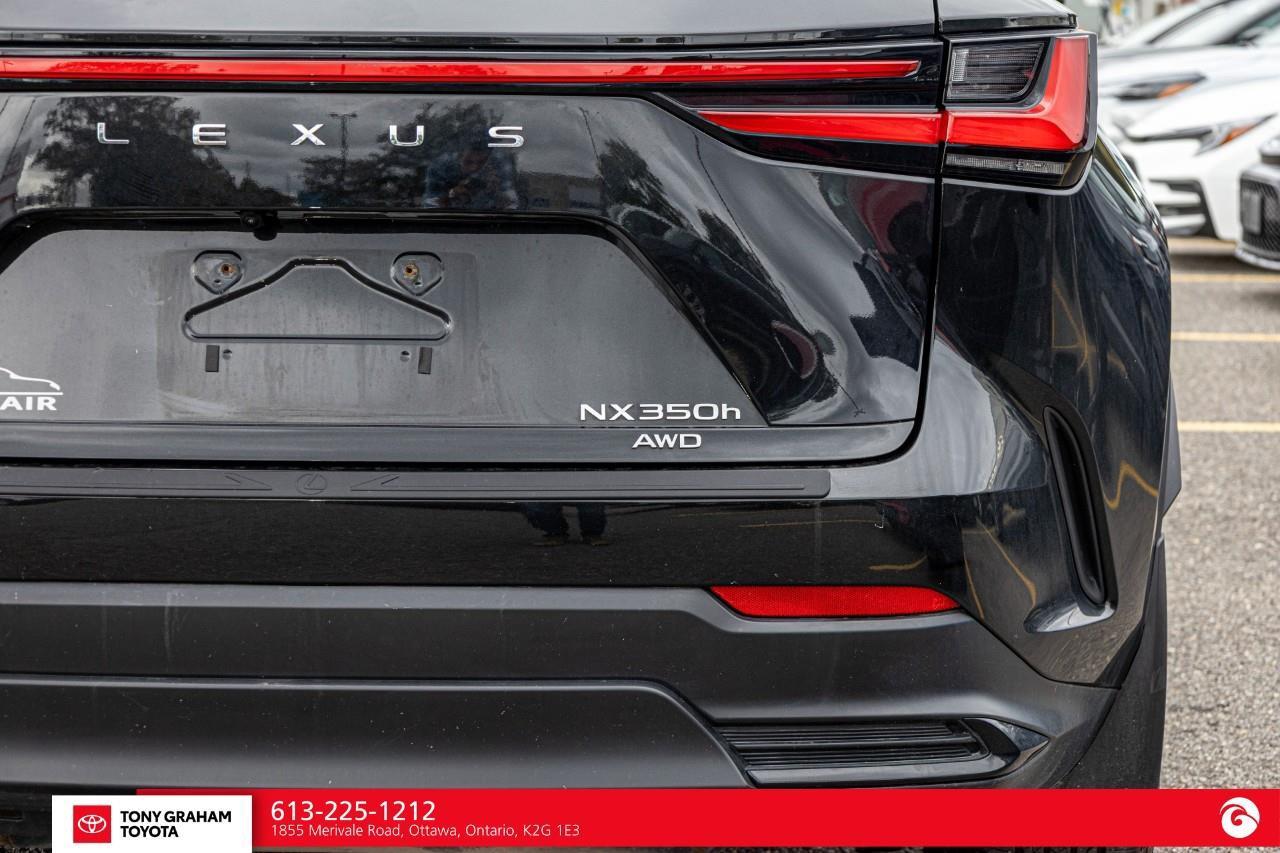 2025 Lexus NX 350h  Photo