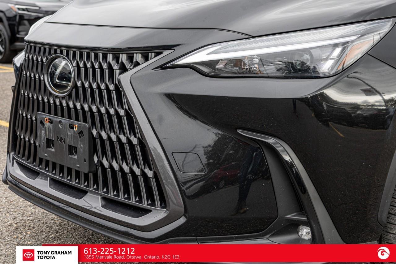 2025 Lexus NX 350h  Photo