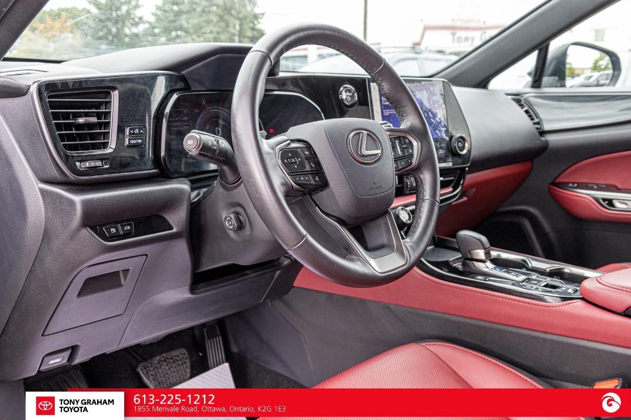 2025 Lexus NX 350h  Photo
