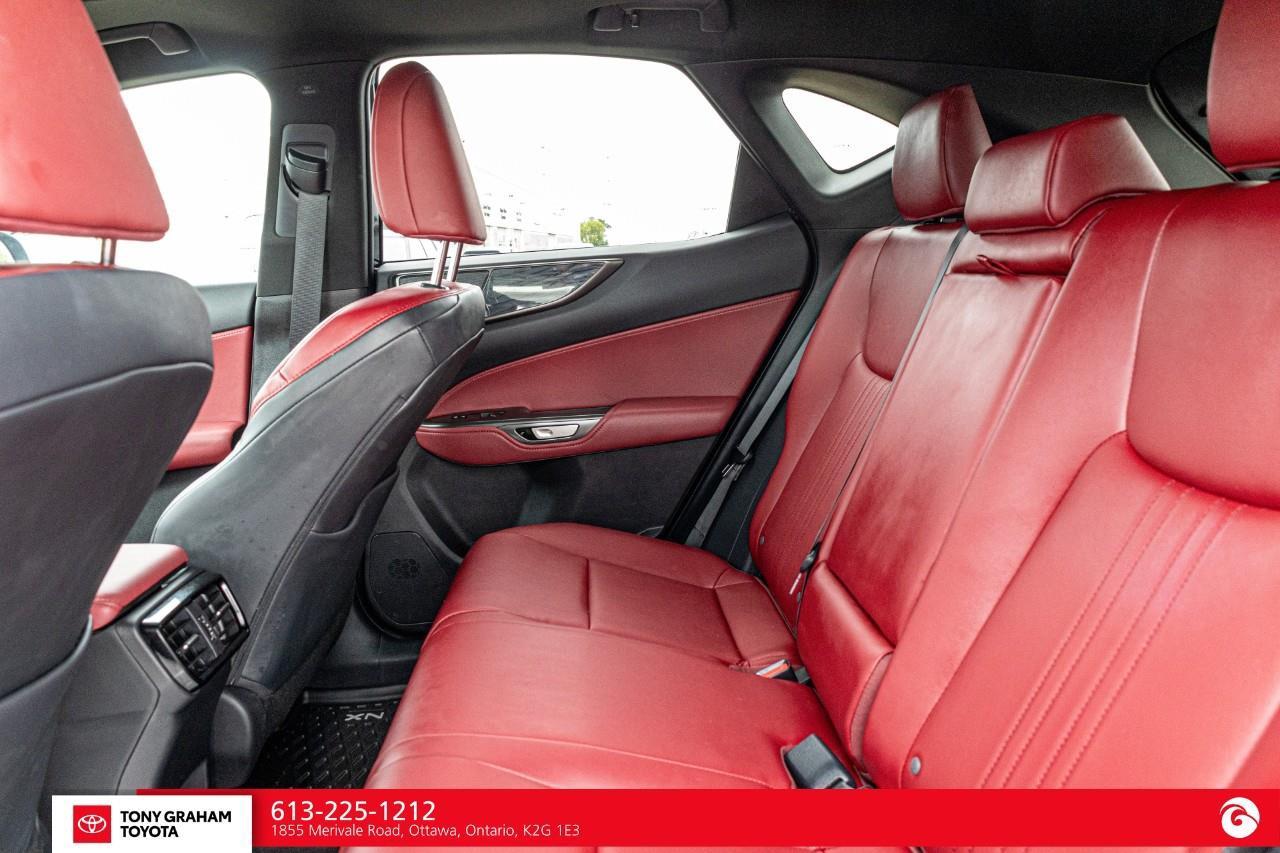 2025 Lexus NX 350h  Photo