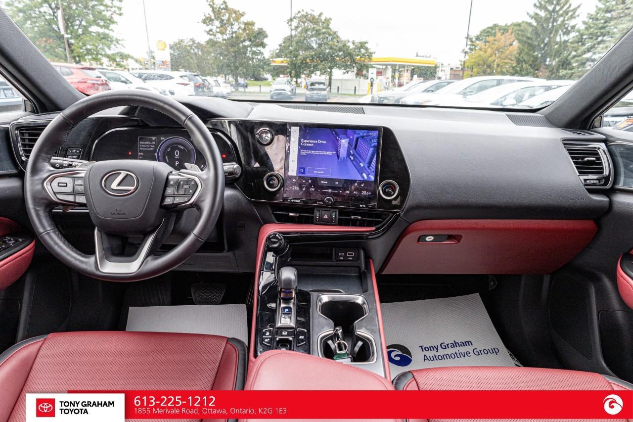 2025 Lexus NX 350h  Photo