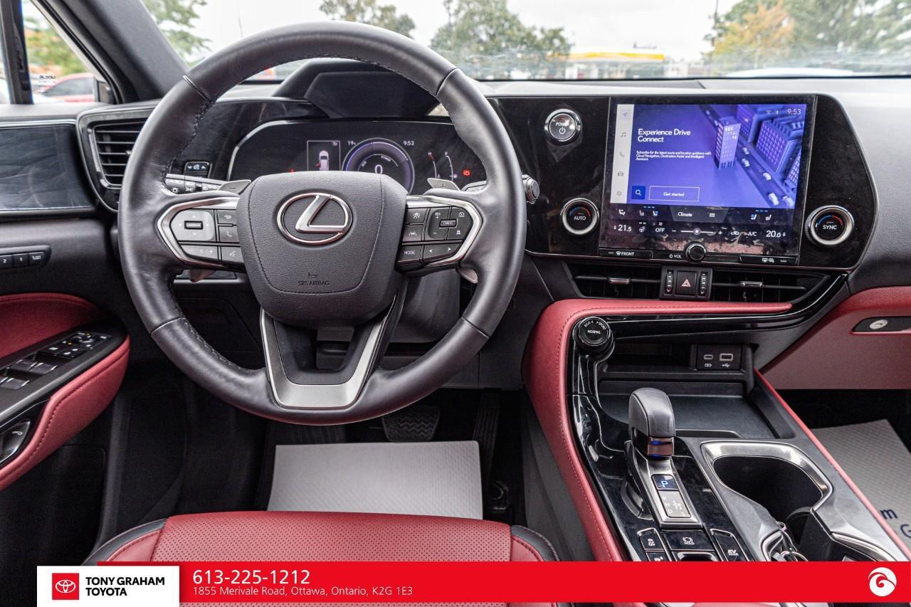 2025 Lexus NX 350h  Photo