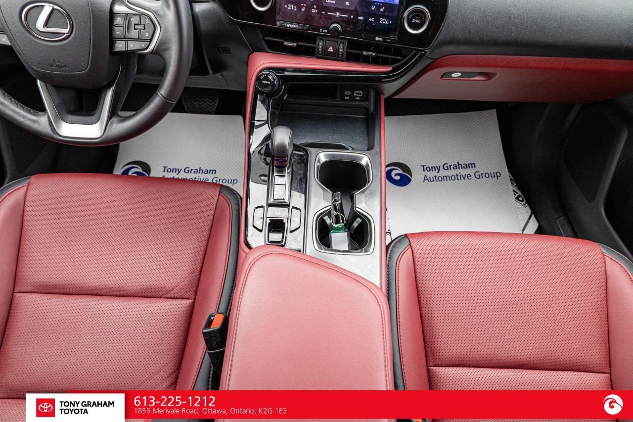 2025 Lexus NX 350h  Photo
