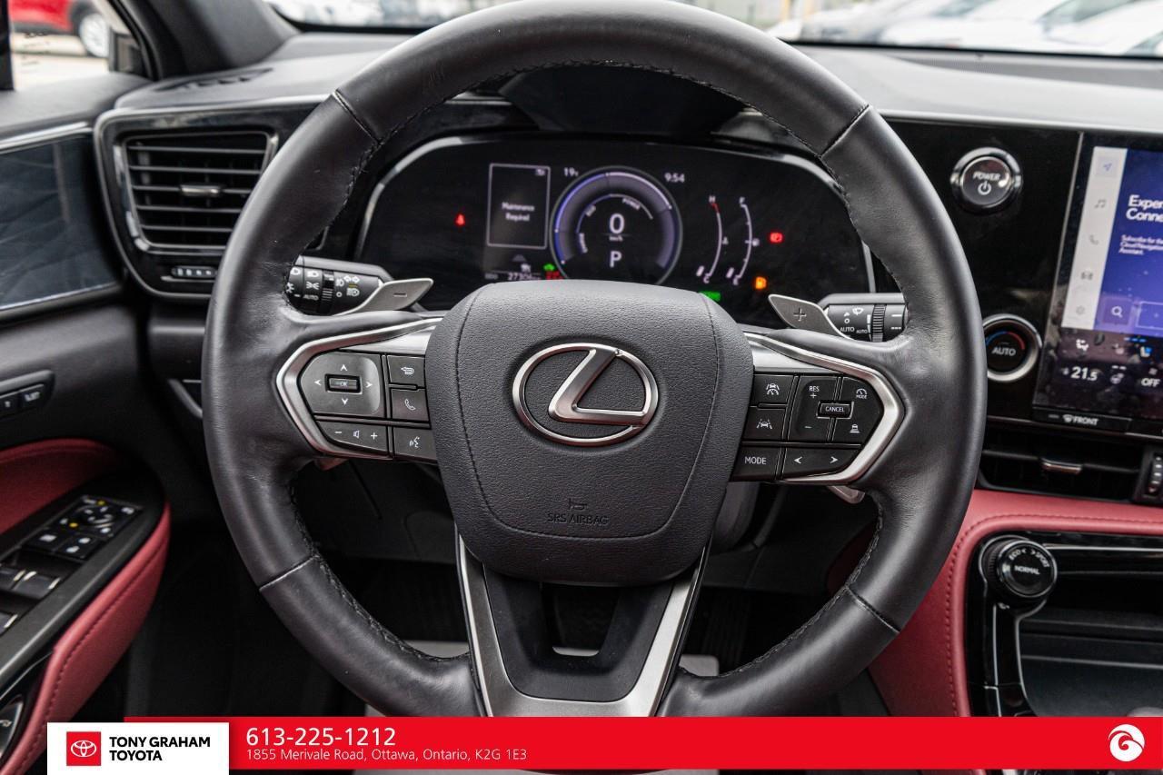 2025 Lexus NX 350h  Photo