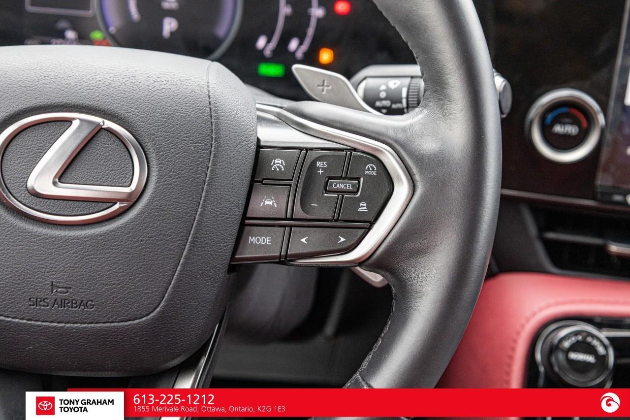 2025 Lexus NX 350h  Photo