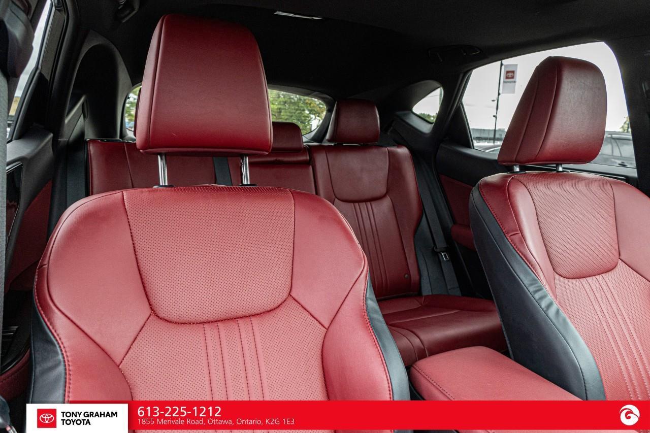 2025 Lexus NX 350h  Photo