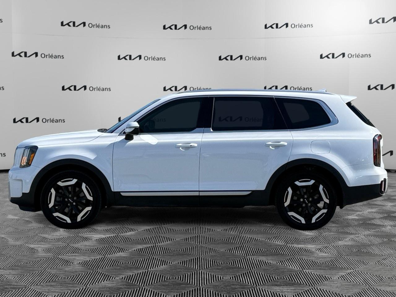 2024 Kia Telluride EX AWD Photo