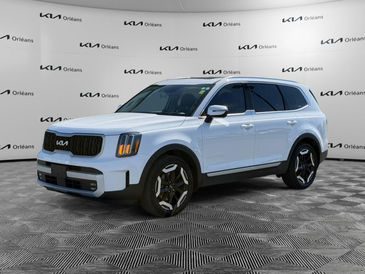 2024 Kia Telluride EX AWD Photo