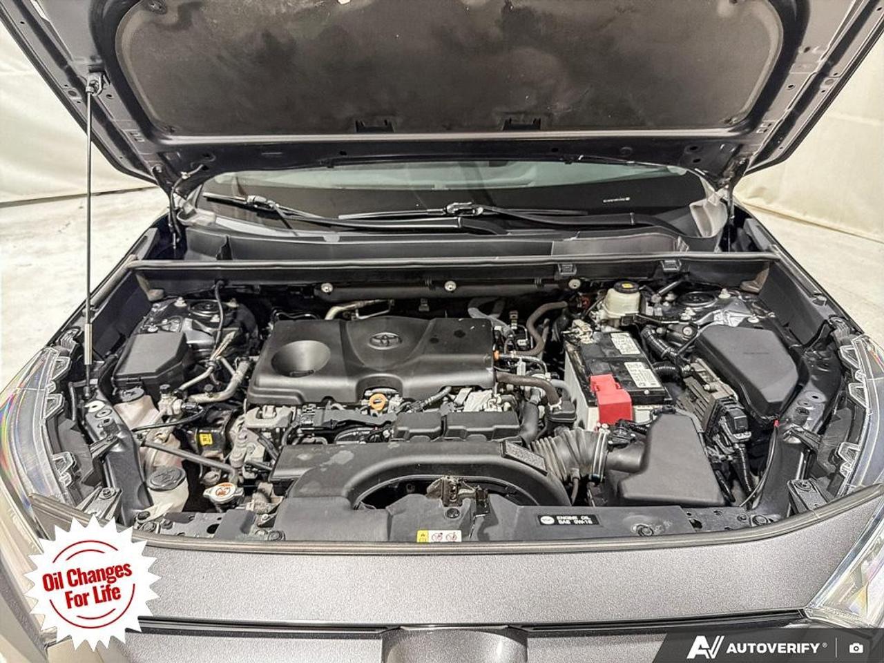 2021 Toyota RAV4 XLE AWD Photo