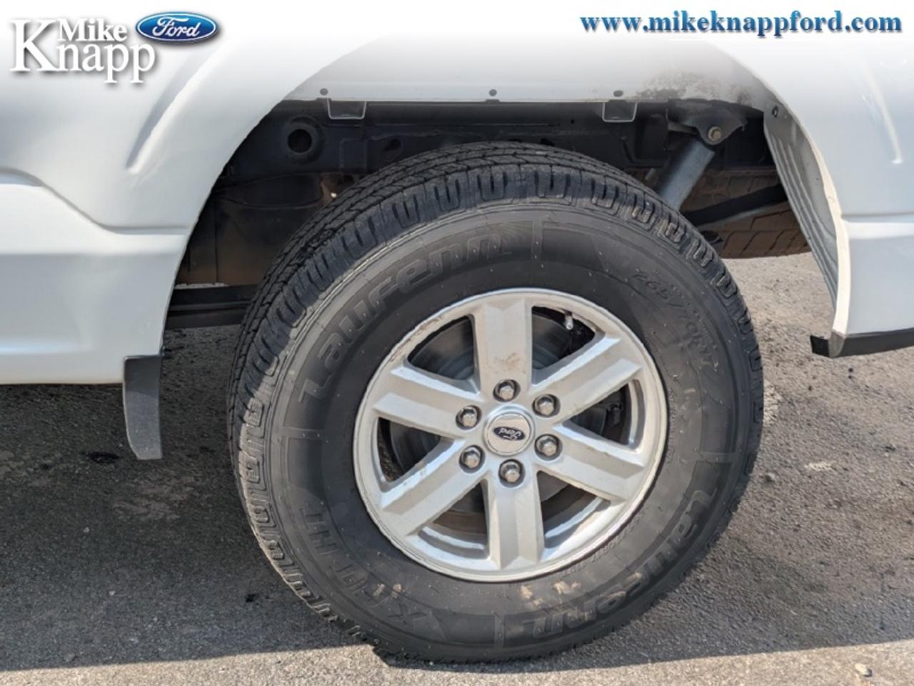 2023 Ford F-150 XLT Photo