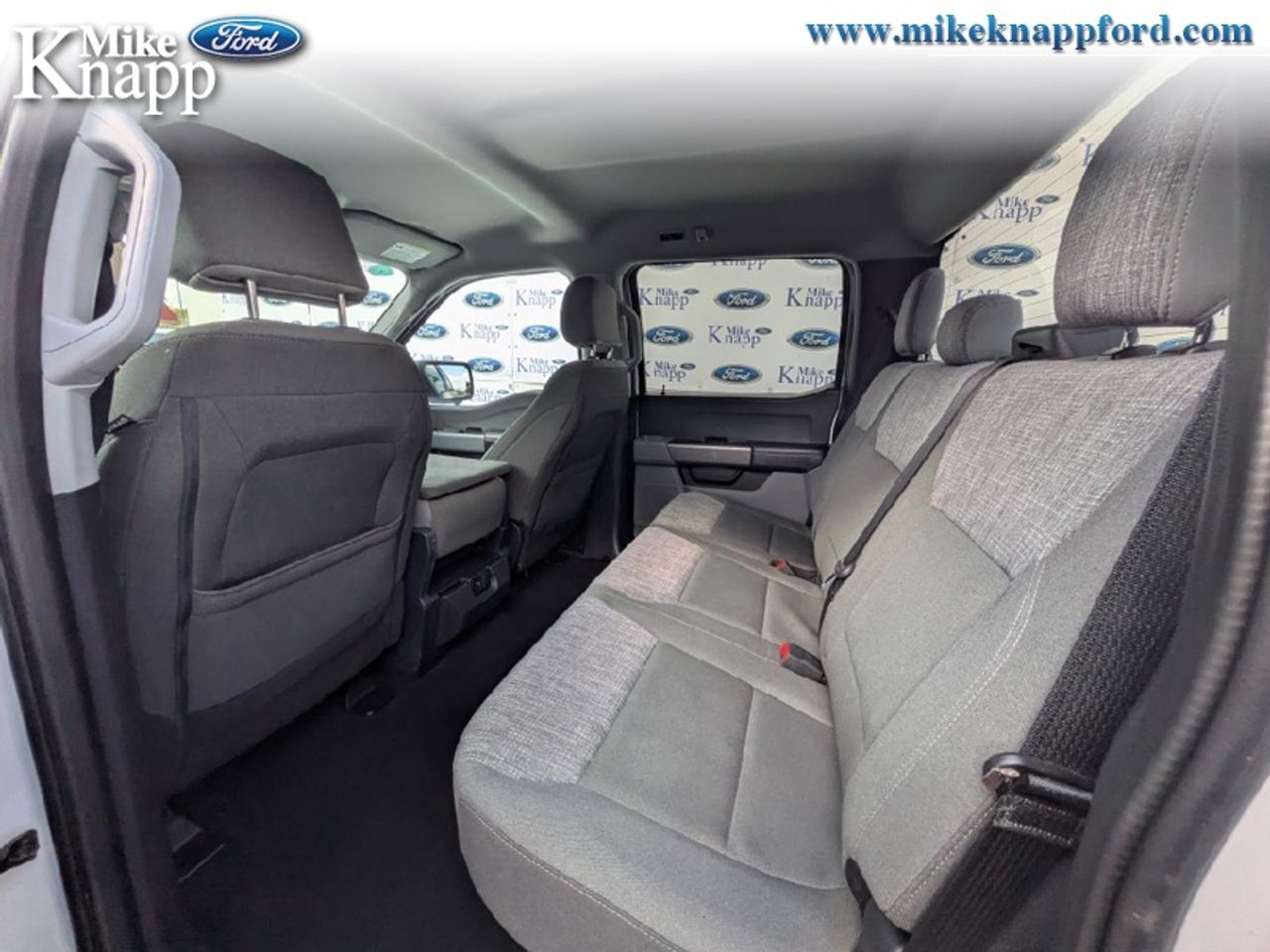 2023 Ford F-150 XLT Photo