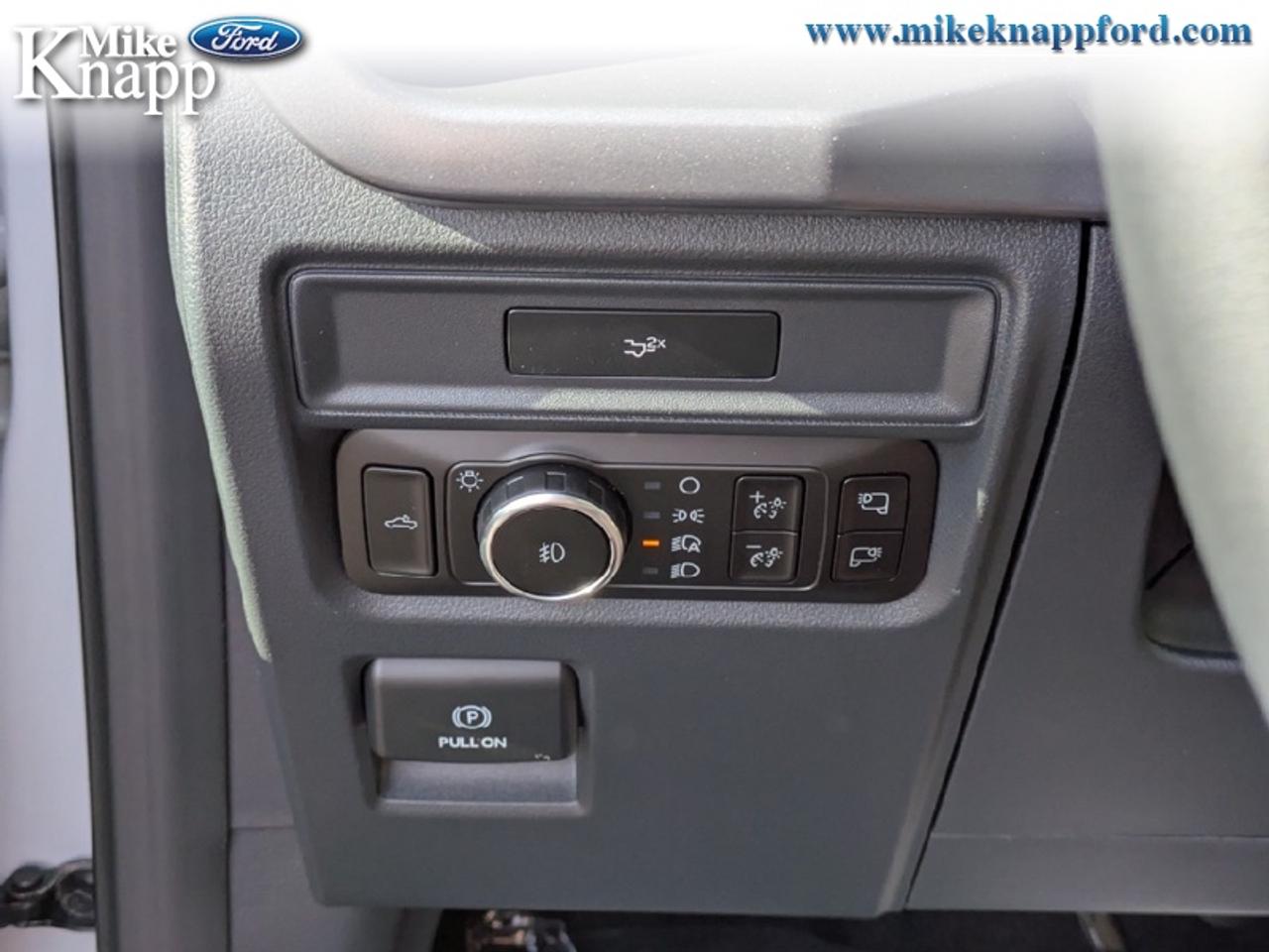 2026 Ford F-150 XLT Photo