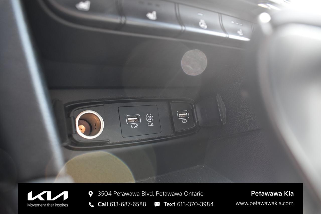 2020 Hyundai Santa Fe Luxury 2.0 4dr All-Wheel Drive Photo