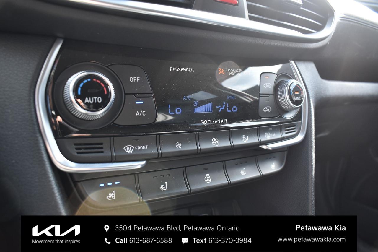 2020 Hyundai Santa Fe Luxury 2.0 4dr All-Wheel Drive Photo