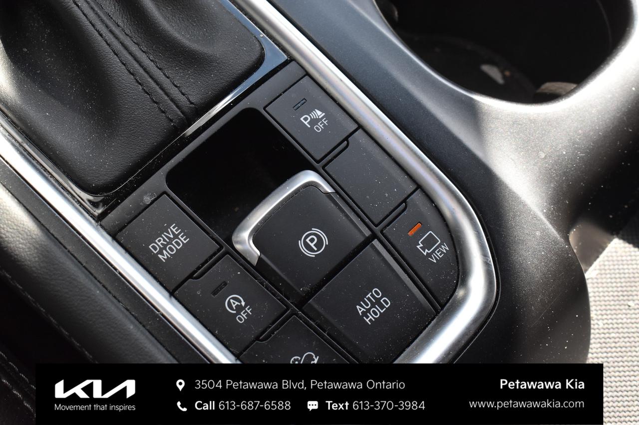 2020 Hyundai Santa Fe Luxury 2.0 4dr All-Wheel Drive Photo
