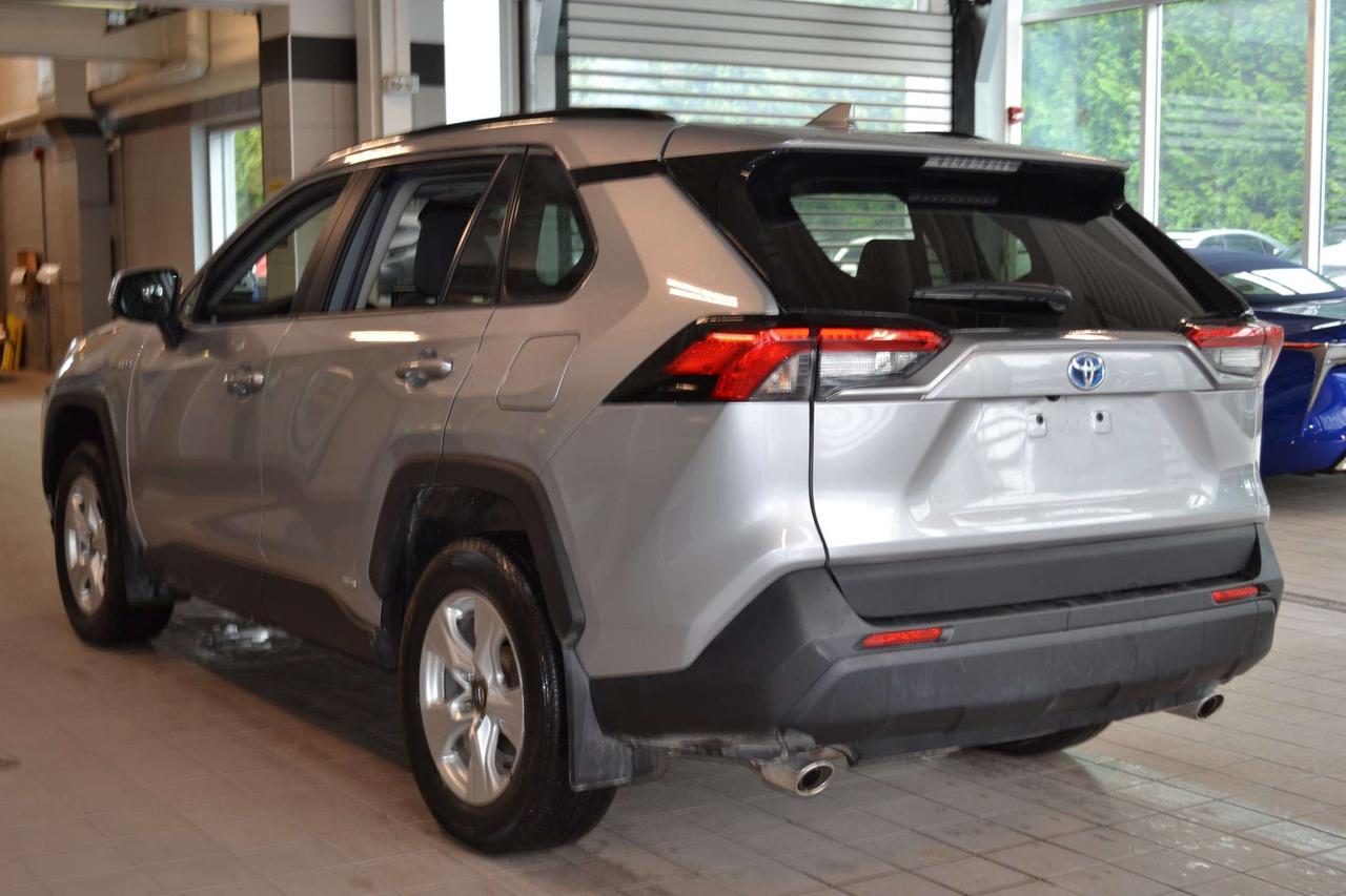 2020 Toyota RAV4 XLE Photo