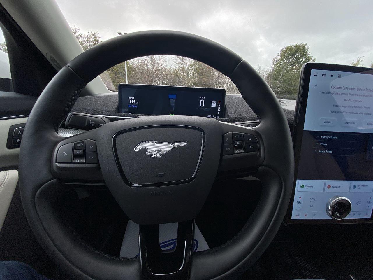 2022 Ford Mustang Mach-E Premium Photo