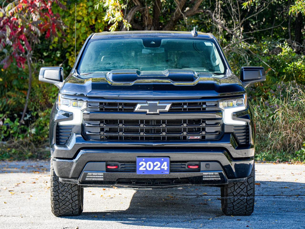 2024 Chevrolet Silverado 1500 LT Trail Boss Photo