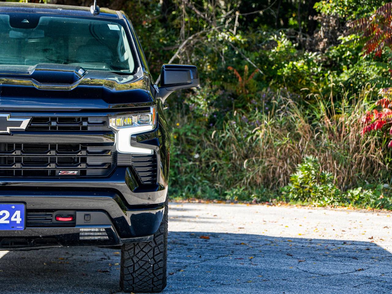 2024 Chevrolet Silverado 1500 LT Trail Boss Photo