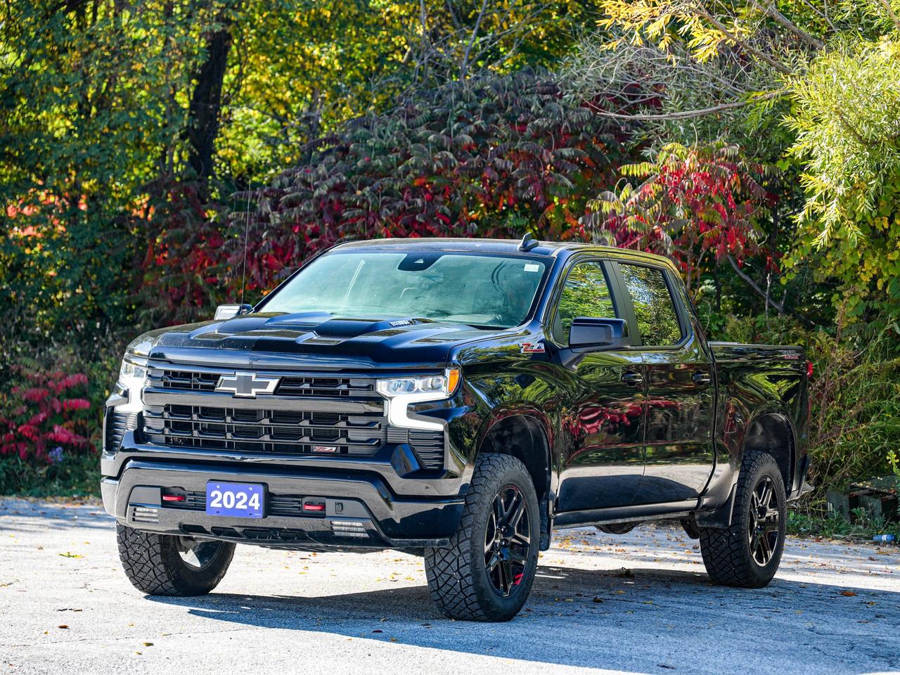 2024 Chevrolet Silverado 1500 LT Trail Boss Photo