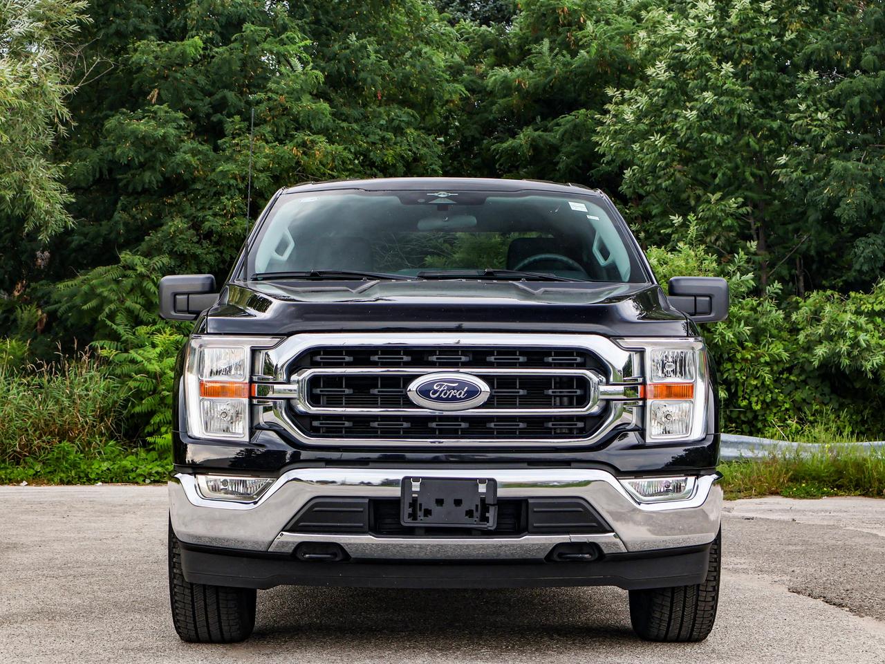 2023 Ford F-150 XLT Photo