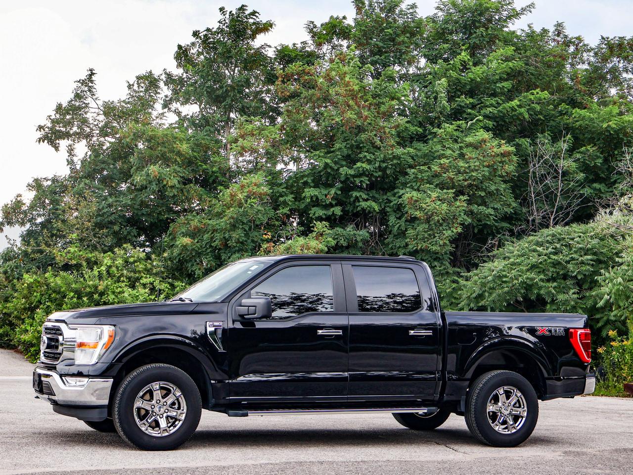 2023 Ford F-150 XLT Photo