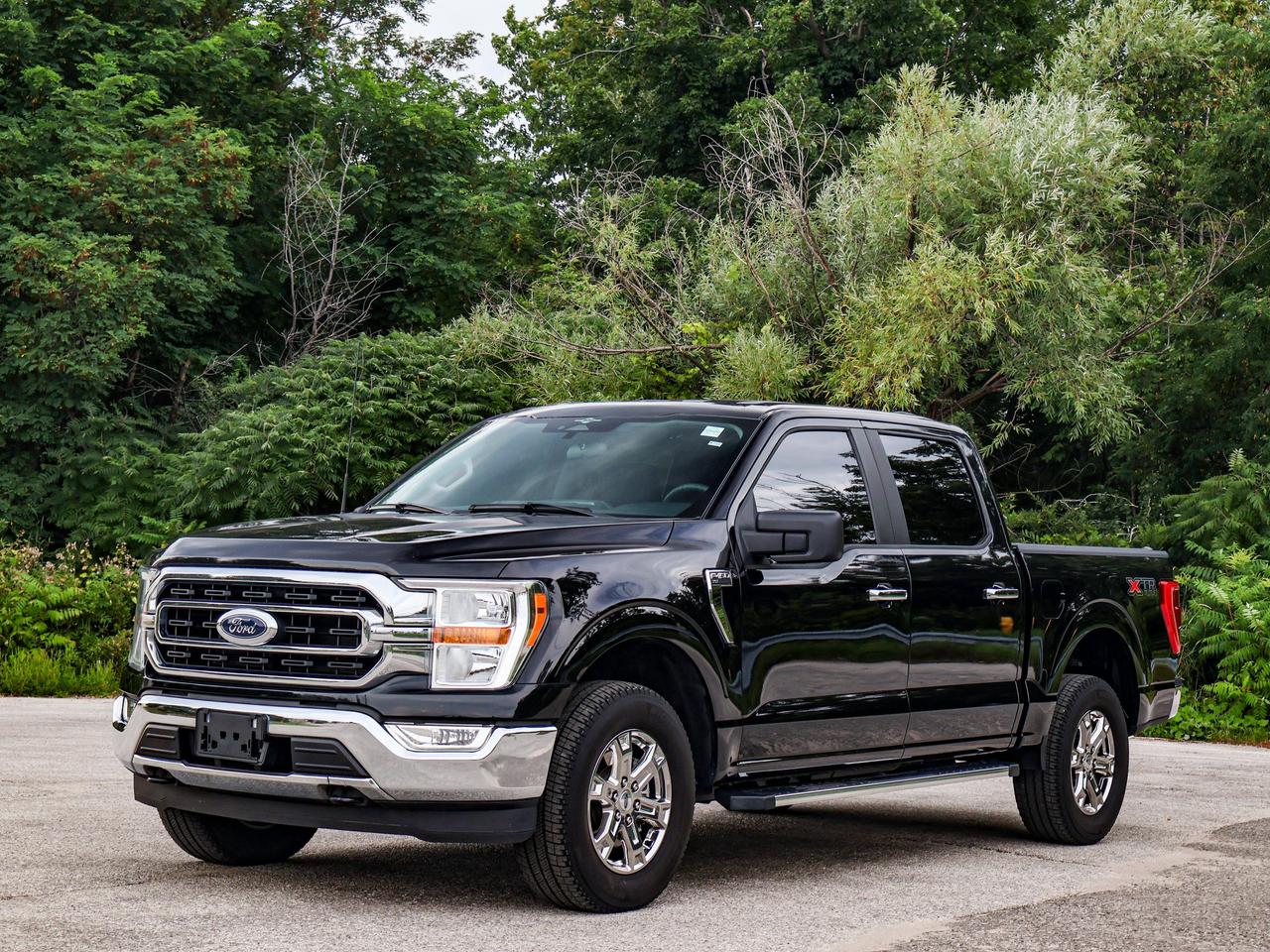 2023 Ford F-150 XLT Photo