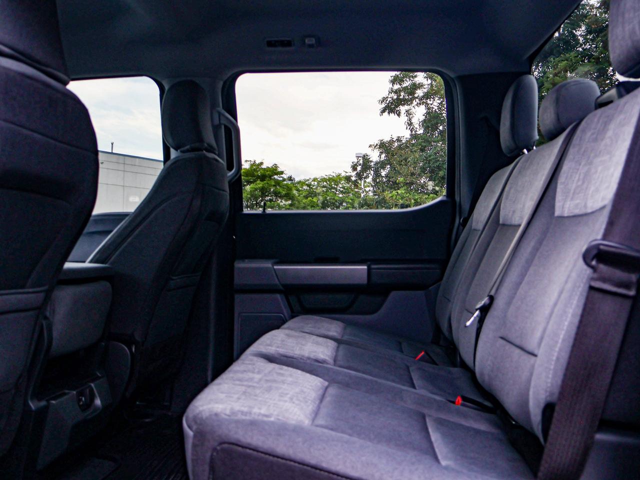 2023 Ford F-150 XLT Photo